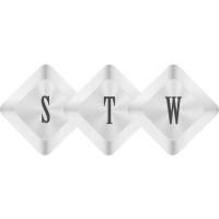 company_logo