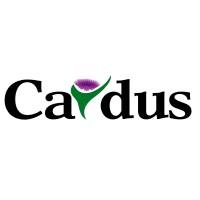 company_logo